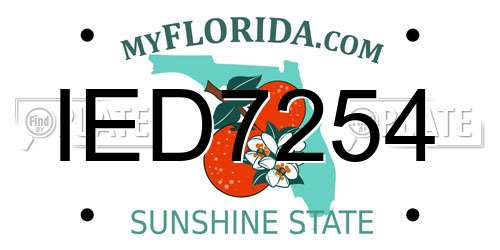 IED7254 Florida License Plate