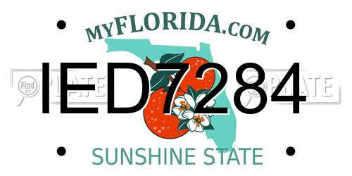 IED7284 Florida License Plate