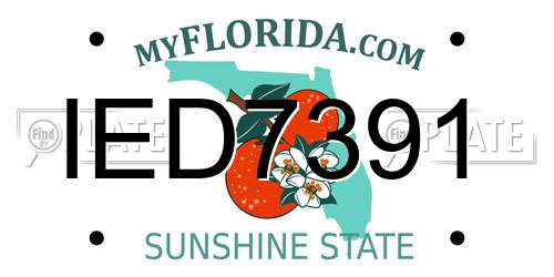 IED7391 Florida License Plate