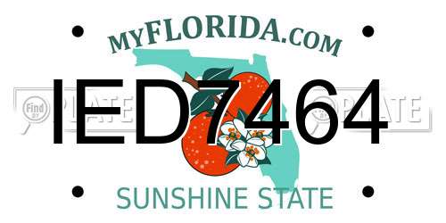 IED7464 Florida License Plate