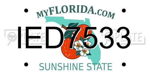 IED7533 Florida License Plate