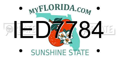 IED7784 Florida License Plate