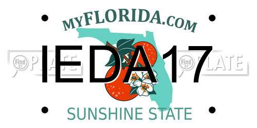 IEDA17 Florida License Plate