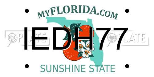 IEDH77 Florida License Plate