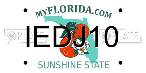 IEDJ10 Florida License Plate