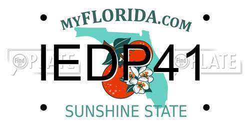 IEDP41 Florida License Plate