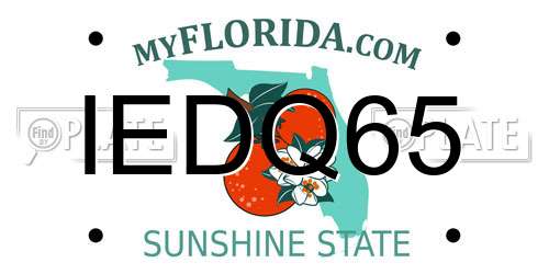 IEDQ65 Florida License Plate