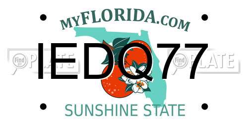 IEDQ77 Florida License Plate