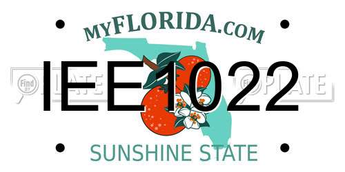 IEE1022 Florida License Plate
