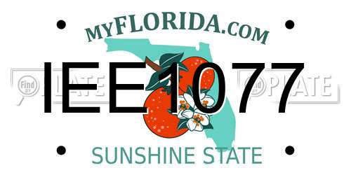 IEE1077 Florida License Plate