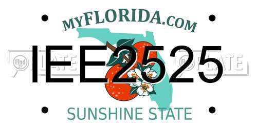 IEE2525 Florida License Plate