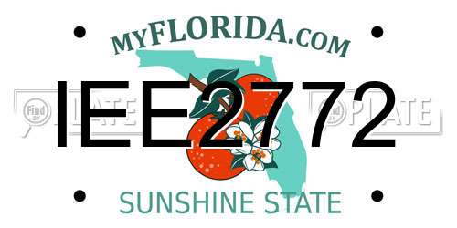 IEE2772 Florida License Plate