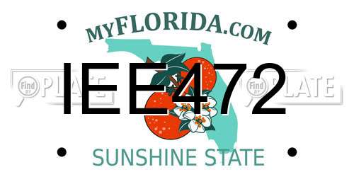 IEE472 Florida License Plate