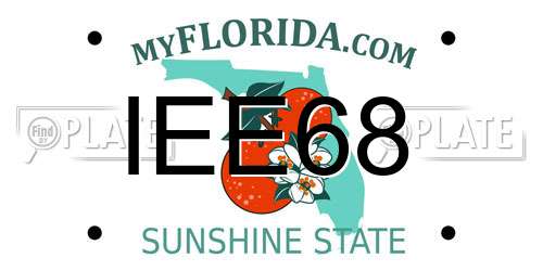 IEE68 Florida License Plate