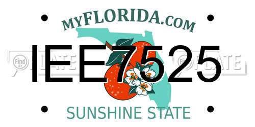 IEE7525 Florida License Plate