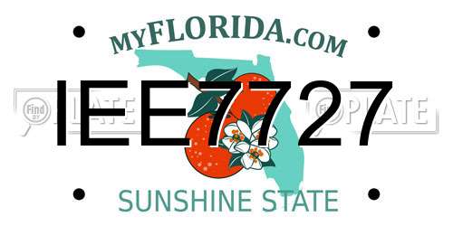 IEE7727 Florida License Plate