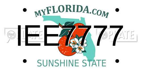 IEE7777 Florida License Plate