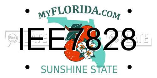 IEE7828 Florida License Plate