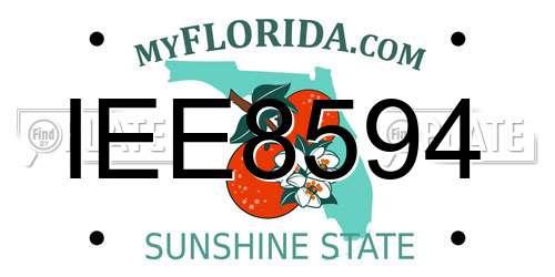 IEE8594 Florida License Plate