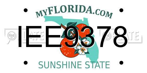 IEE9378 Florida License Plate
