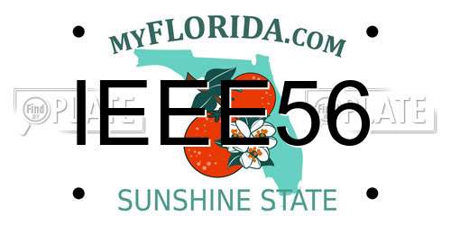 IEEE56 Florida License Plate