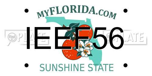 IEEF56 Florida License Plate