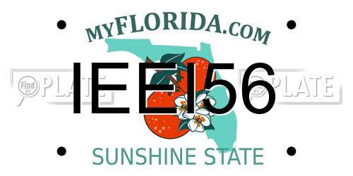 IEEI56 Florida License Plate