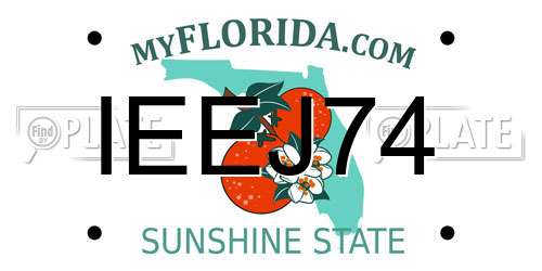 IEEJ74 Florida License Plate