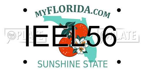IEEL56 Florida License Plate