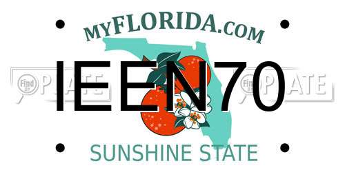 IEEN70 Florida License Plate