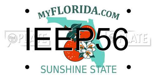 IEEP56 Florida License Plate