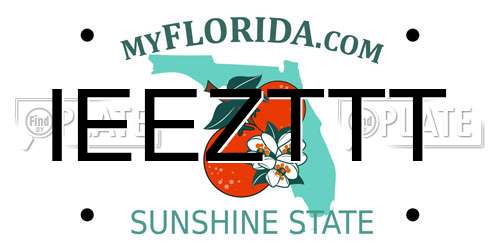 IEEZTTT Florida License Plate