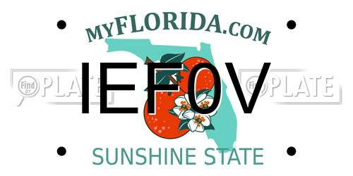 IEF0V Florida License Plate
