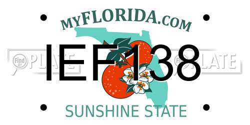 IEF138 Florida License Plate