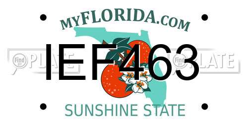 IEF463 Florida License Plate
