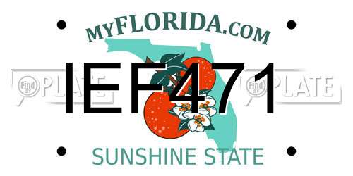 IEF471 Florida License Plate