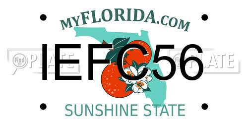 IEFC56 Florida License Plate