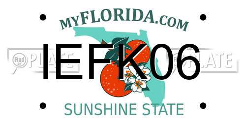 IEFK06 Florida License Plate