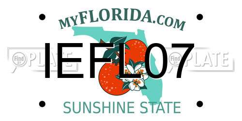 IEFL07 Florida License Plate