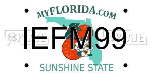 IEFM99 Florida License Plate