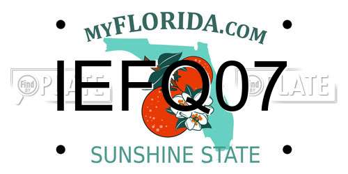 IEFQ07 Florida License Plate