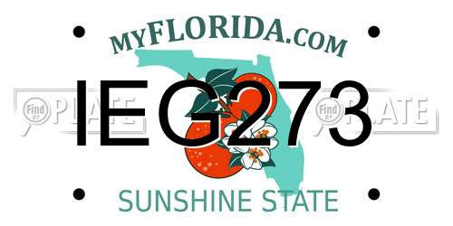 IEG273 Florida License Plate