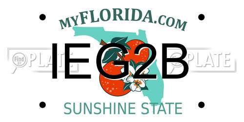 IEG2B Florida License Plate