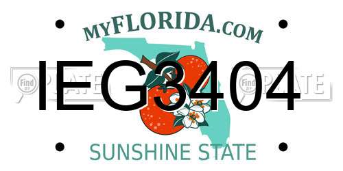 IEG3404 Florida License Plate