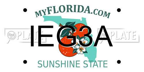 IEG3A Florida License Plate