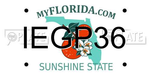 IEGP36 Florida License Plate