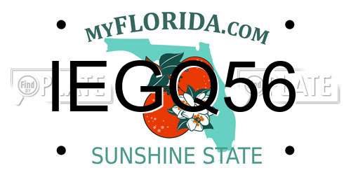 IEGQ56 Florida License Plate