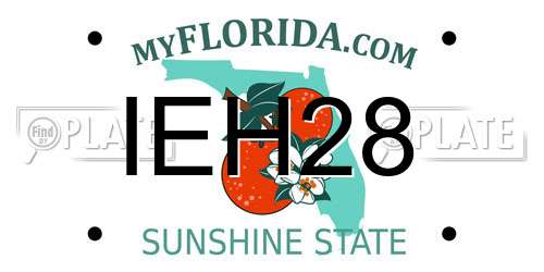 IEH28 Florida License Plate