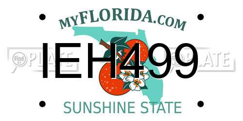 IEH499 Florida License Plate