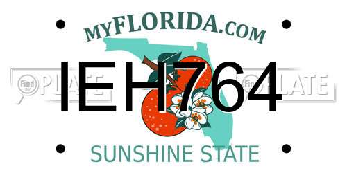 IEH764 Florida License Plate
